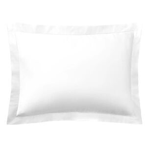 Ralph Lauren Home Organic Cotton Sateen Border King Sham Studio White - NWT $185